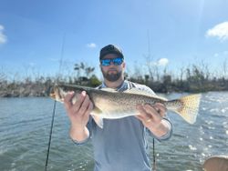 Speckled trout caught fishing in Cape Coral FL waters