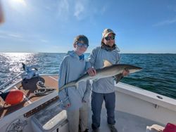A dusky smooth-hound fish measuring 33 inches caught while fishing in FL