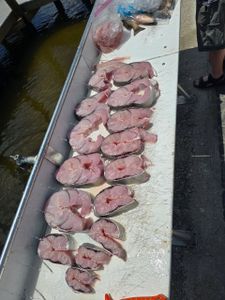 Fishing in FL