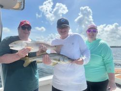Two snook and redfish caught while fishing in FL