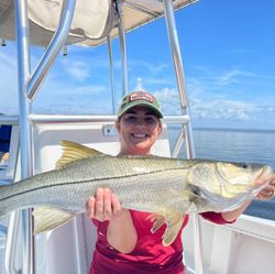 A magnificent snook, 29 inches long, caught in FL