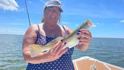 Solitary angler fishing in Cape Coral
