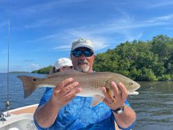 A fisherman holding a large redfish caught in Cape Coral