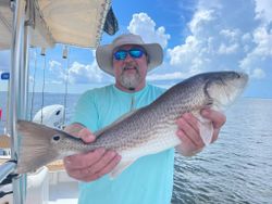 Redfish caught in Cape Coral, Florida