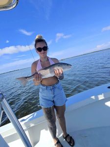 Redfish caught by two people in Cape Coral