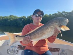 Redfish caught while fishing in Cape Coral