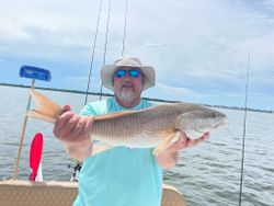 Redfish catch from fishing in Florida