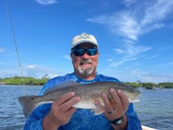 Redfish caught while fishing in FL
