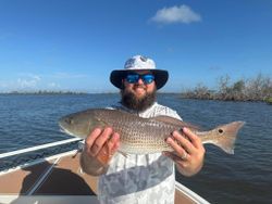 Redfish caught while fishing in Cape Coral