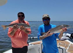 Two redfish caught while fishing in FL