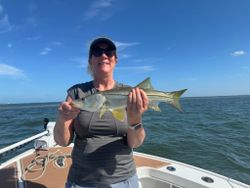 Snook caught fishing in FL