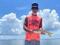 Snook fish caught fishing in Cape Coral