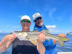 Snook fish caught in Cape Coral