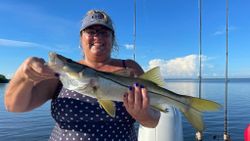 Snook fish caught in FL