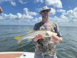 A snook fish caught fishing in Cape Coral