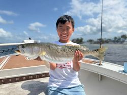 Spotted Weakfish being caught while fishing in Cape Coral