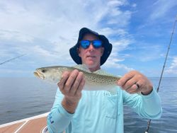 Spotted Weakfish, 16 inches, caught while fishing in FL