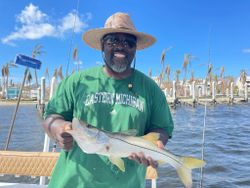 Snook fishing trip