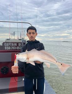 Redfish caught in Rio Hondo
