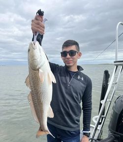 Photo of a redfish caught in Rio Hondo while fishing