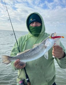 Spotted Weakfish caught at Rio Hondo