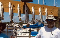 limit of trout in  in Destin, Florida!