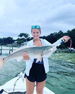 Catching bid redfish in the Destin, okaloosa island, niceville and Miramar Beach area with Reel Runners Charters, the best inshore charter in the emerald coast.
