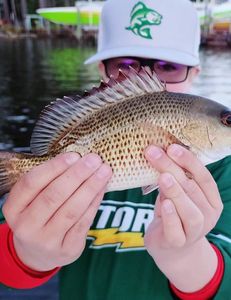 Kids fishing snapper trip in Destin,FL