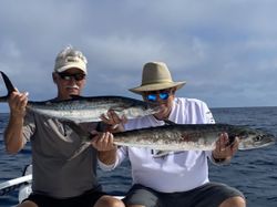 Fish-Species