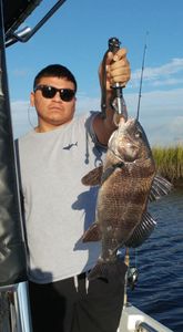 Black Drum fish caught while fishing at Oak Island