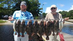 10 summer flounder fish caught in NC