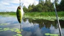 Exciting fishing adventures await in Tampa, Florida