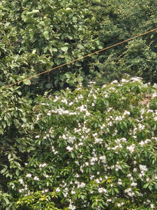 Best deep sea fly fishing adventure with heavy tackle in Tampa waters!