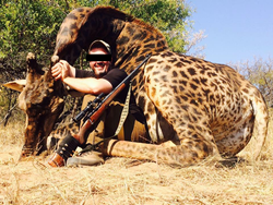 Adventure awaits with this exciting wildlife encounter - a majestic giraffe taking the best spot in the savanna!