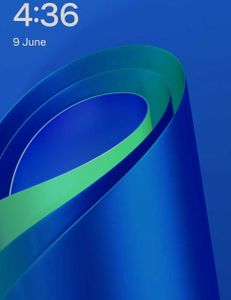 Fishing adventure in Tampa, Florida