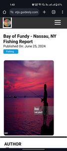 Scenic view of Tampa, Florida with boats and water activities