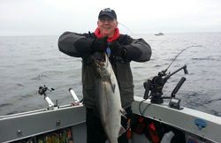 Silver King Pursuit: Lake Michigan Salmon