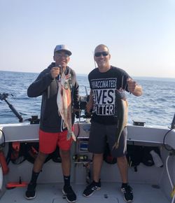 2 big fish caught while fishing in MI
