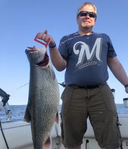 Caught a 27-inch Lake Trout while fishing in MI