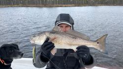 Redfish caught while fishing in NC