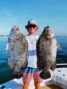 Two tripletail fish caught in Sarasota