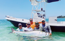 Anglers fishing in Sarasota