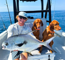 Permit fish caught in Sarasota