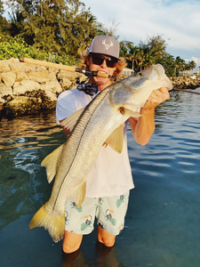 Snook fish caught in Sarasota