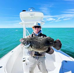 Tripletail fish caught in FL