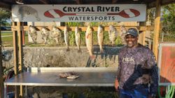 6 bluefish caught while fishing in FL