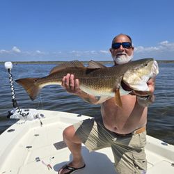 Angler holding large redfish on boat in Crawfordville FL waters