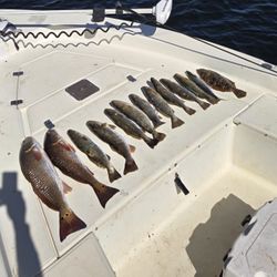 Fresh caught redfish, southern flounder, and speckled trout displayed on boat deck in Crawfordville FL