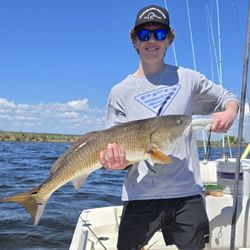 Redfish caught while fishing in Crawfordville FL