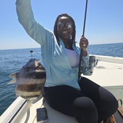 Sheepshead fish catch on fishing boat in Crawfordville FL waters